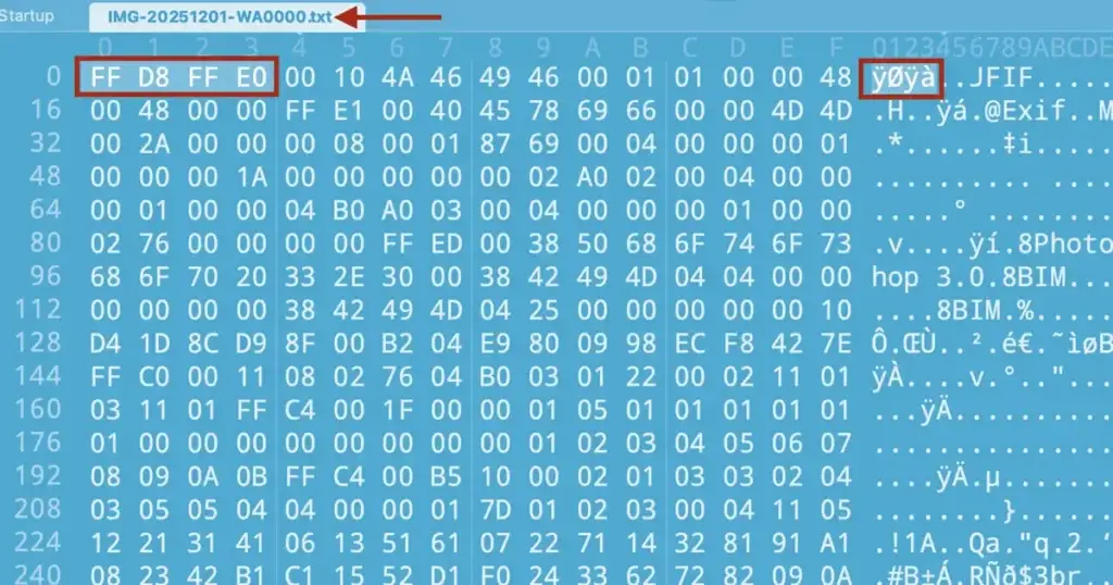 afbeelding mismatch file-extensie en file header